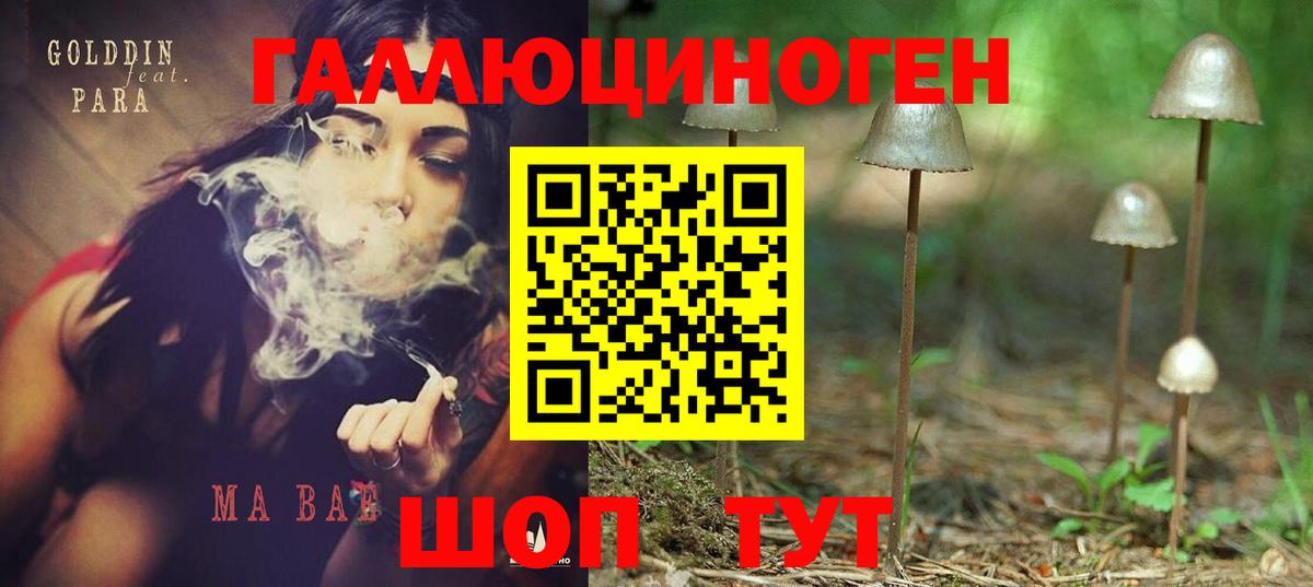Галлюциногенные грибы MAGIC MUSHROOMS Новосибирск